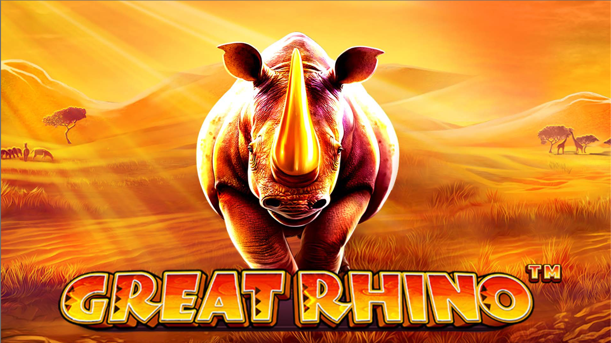 Great Rhino yuvasında əzəmətli kərgədanlarla tanış olun